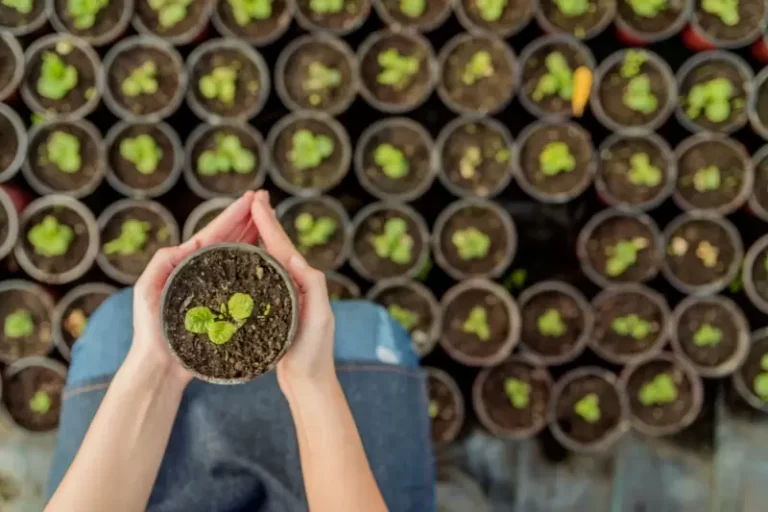 AHC50422 Diploma of Horticulture Management training course Queensland