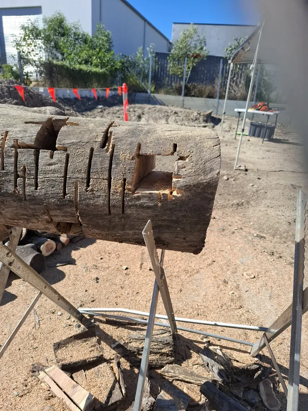 Hardwood practice log used for AHCMOM213 chainsaw cross-cutting training