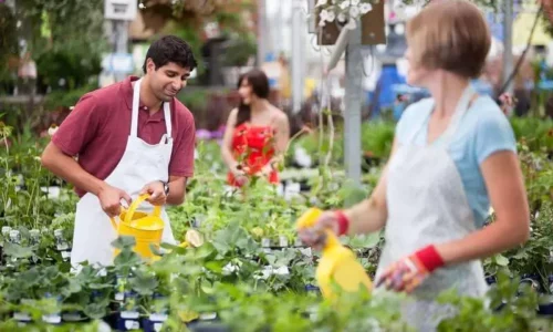 Horticulture Courses — nationally recognised training Queensland